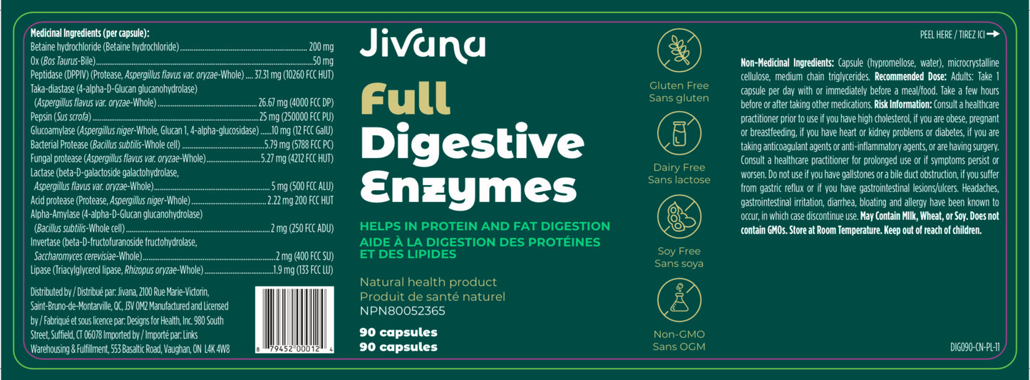 Digestive Enzymes