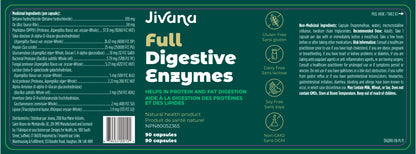 Digestive Enzymes