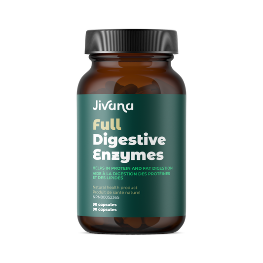 Digestive Enzymes
